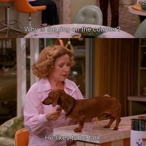 Meet your Posher, Cecil